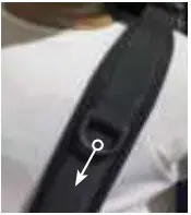 Contoured Chest Harness