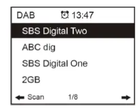 audizio-Bari-WiFi-DAB-plus-Radio-Instruction-Manual-FIG-13