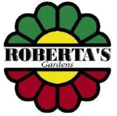 ROBERTA-S-logo