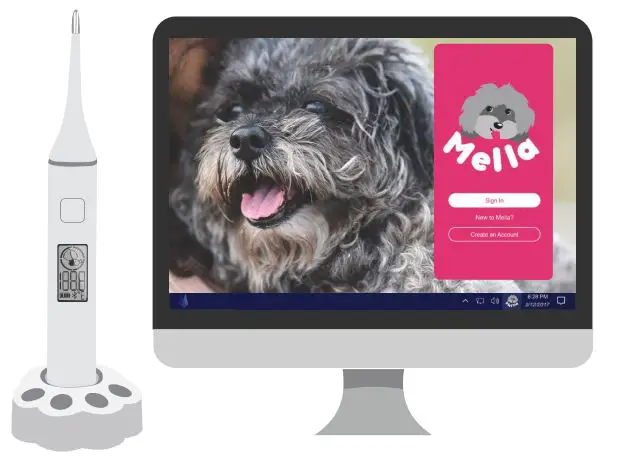 Mella Petcare Mella Pro Smart Underarm Pet Thermometer Instructions - Insert the charging base into the USB port of the computer and open the mella desktop applicaiton