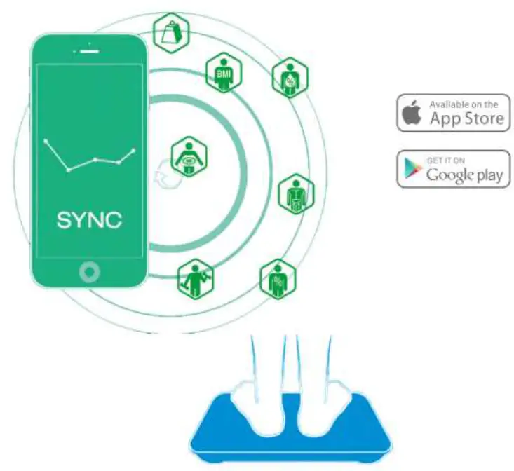 Hangzhou Zheben Import Export TS BF8028 Smart Scale-