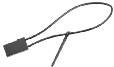 CORALLY Advanced 2.4GHZ Radio Control System - POWE