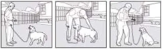 PATPET 530 Dog Training Collar - Fig 1