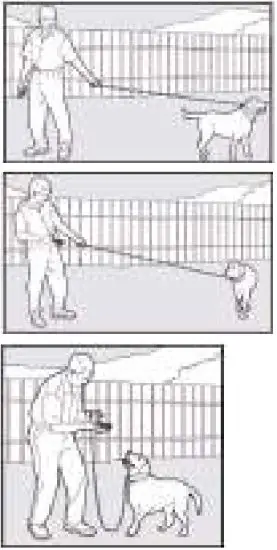 PATPET 530 Dog Training Collar - Fig 2