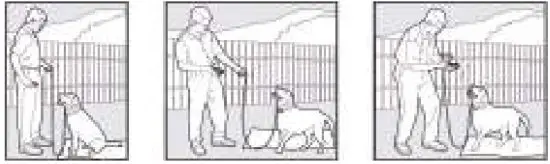 PATPET 530 Dog Training Collar - Fig 3