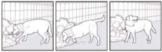 PATPET 530 Dog Training Collar - Fig 5