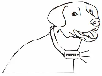 PATPET 530 Dog Training Collar - dog