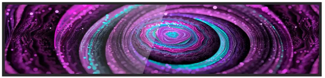 LG LD290EJS-FPN1 29 Inch In-cell Strip TouchScreen with Android Operating System