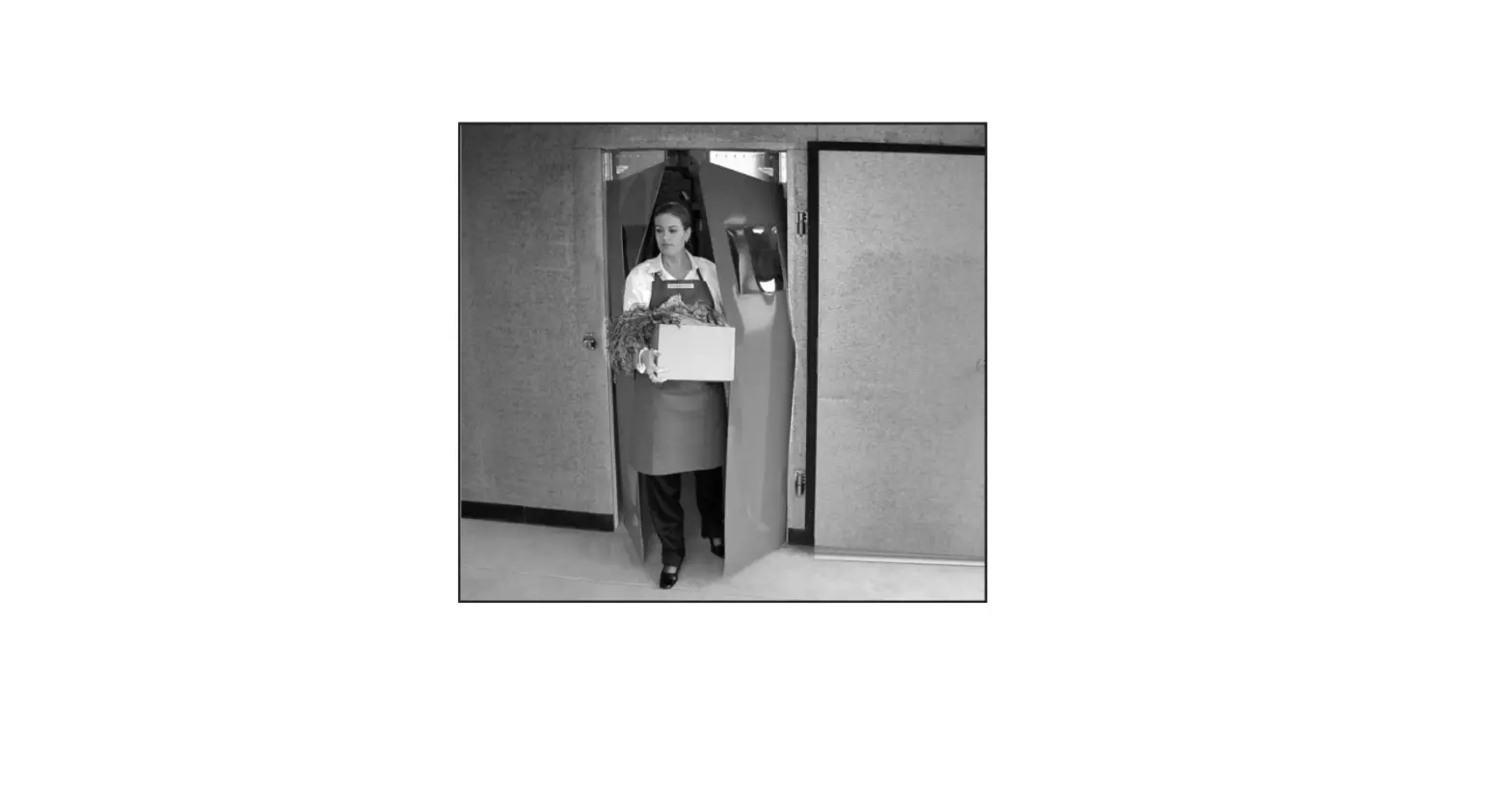 Curtron Pp-c-080-4896 Polar-pro Flexible Swinging Door For Walk-in Coolers & Freezers, 48