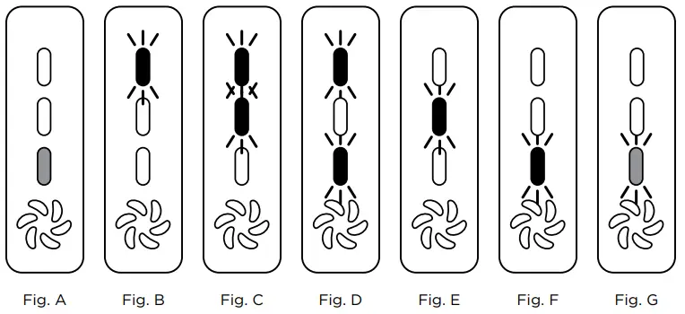 MAINTAINING YOUR VACUUM