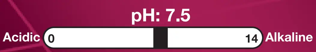 PROCHEM B121 All-Purpose Professional Spotter