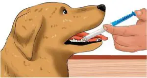 important information about medication