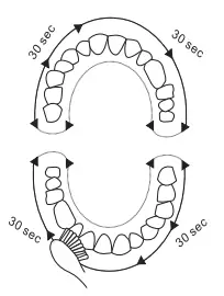 TORPYU-Oral-Irrigator-Electric-Toothbrush-with-Water-Flosser-FIG-19