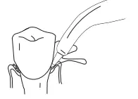 TORPYU-Oral-Irrigator-Electric-Toothbrush-with-Water-Flosser-FIG-20