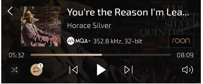 MYTEK-Brooklyn-Bridge-II-Streaming-DAC-Network-Server-FIG-4