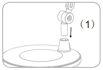 Insert the lamp body