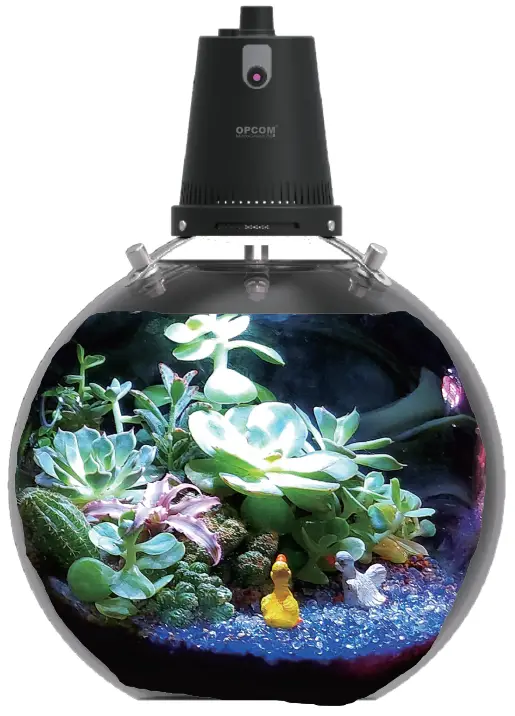 OPCOM-OFG009-Microgreens-Ball-Product