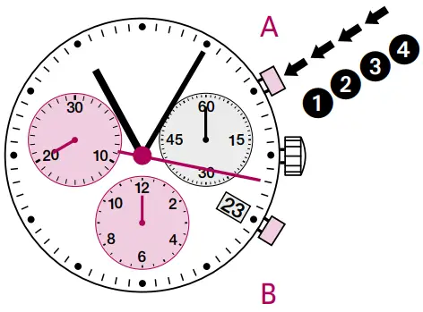 Chronograph: Accumulated timing