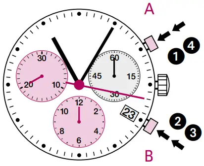Chronograph: Intermediate or interval timing