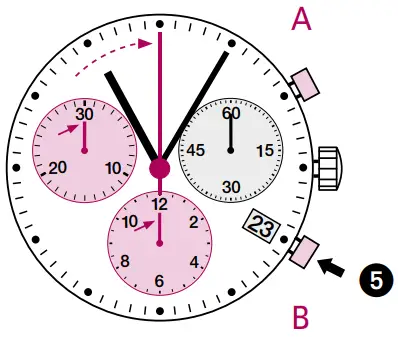 Chronograph: Intermediate or interval timing