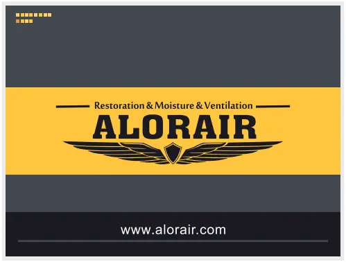 ALORAIR DP Dual Voltage Commercial Dehumidifier 1