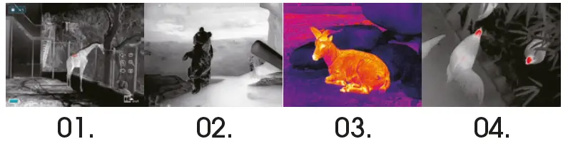 LIEMKE Challenger 15 Thermal Imaging Monocular-7