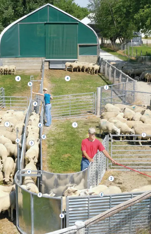 PREMIER1 910800 Solid Chute Panels FIG (1)