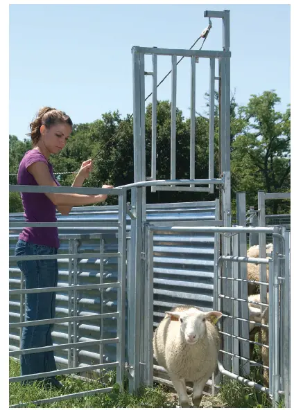 PREMIER1 910800 Solid Chute Panels FIG (4)