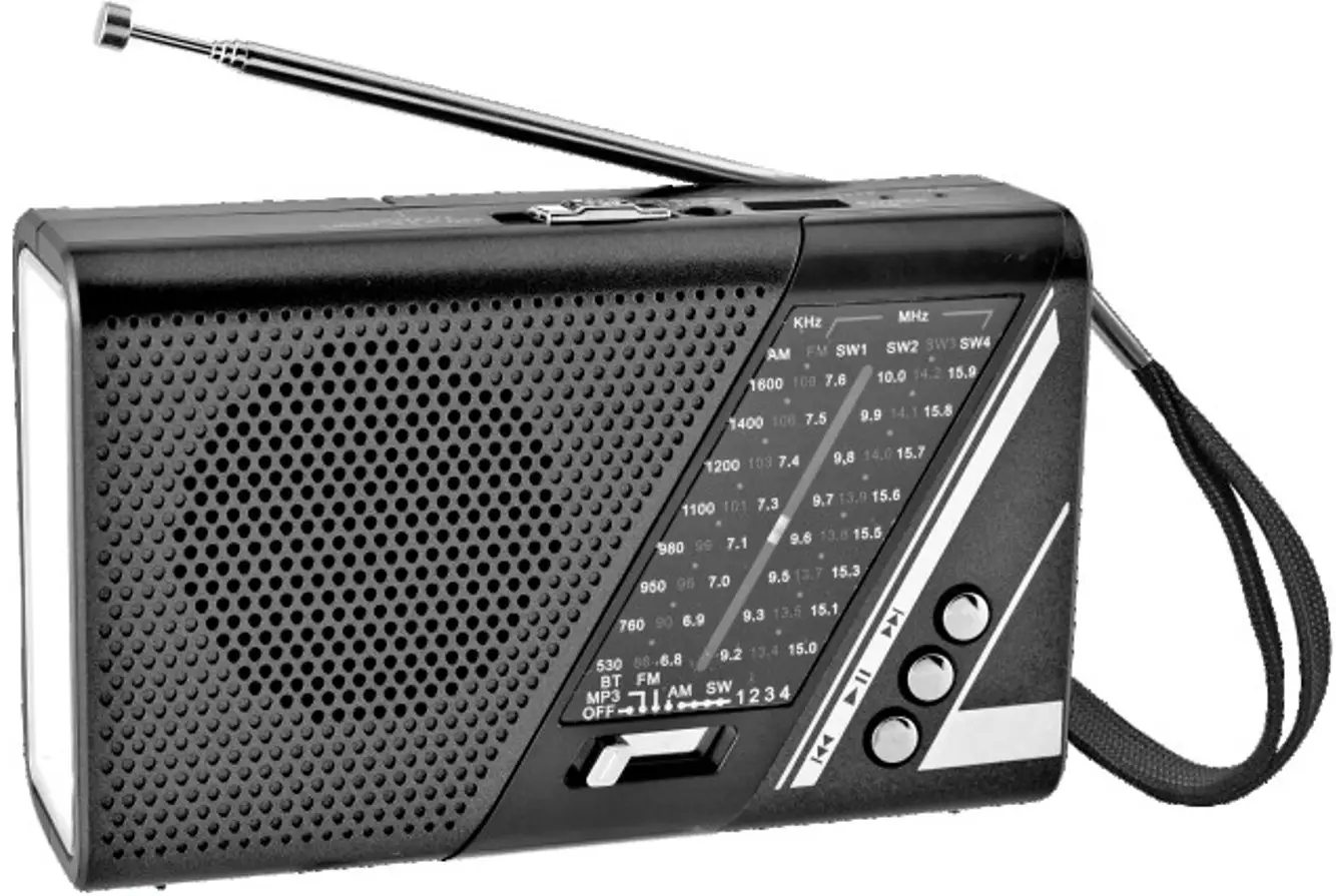Pagaria R 917 Portable Rechargeable Radio