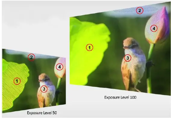 DELVCAM-DELV-2LCD7-4K-2x7-Inch-HDMI-AND-3G-SDI-Rack-Mount-Monitor-FIG-24