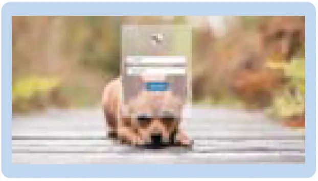 NVK-UKE-W66-Automatic-Pet-Feeder-fig-14