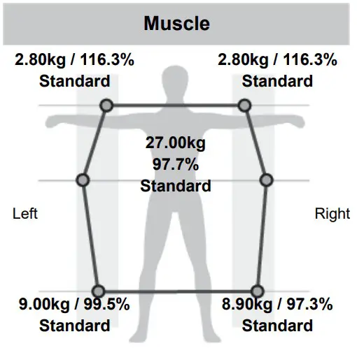 MEDIANA i55 Premium Body Composition Analyzer - Figure 22