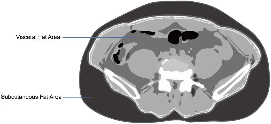 MEDIANA i55 Premium Body Composition Analyzer - Figure 32