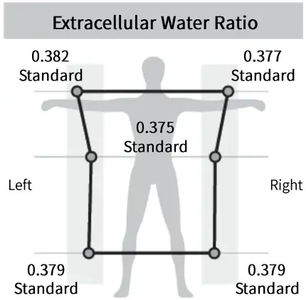 MEDIANA i55 Premium Body Composition Analyzer - Figure 36