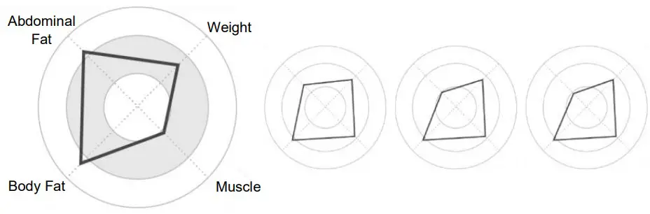 MEDIANA i55 Premium Body Composition Analyzer - Figure 45