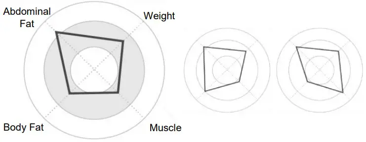 MEDIANA i55 Premium Body Composition Analyzer - Figure 46