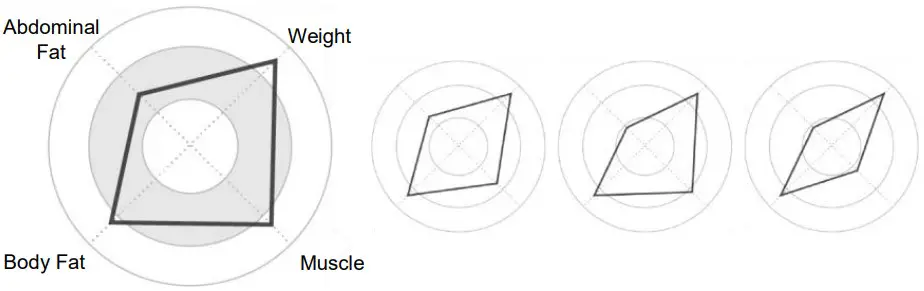 MEDIANA i55 Premium Body Composition Analyzer - Figure 49
