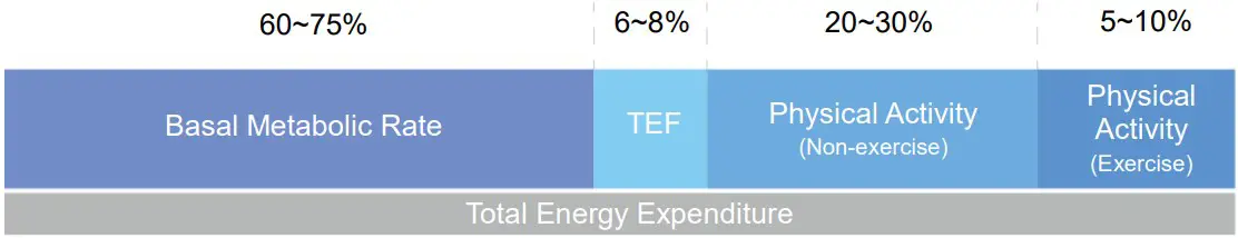 MEDIANA i55 Premium Body Composition Analyzer - Figure 54