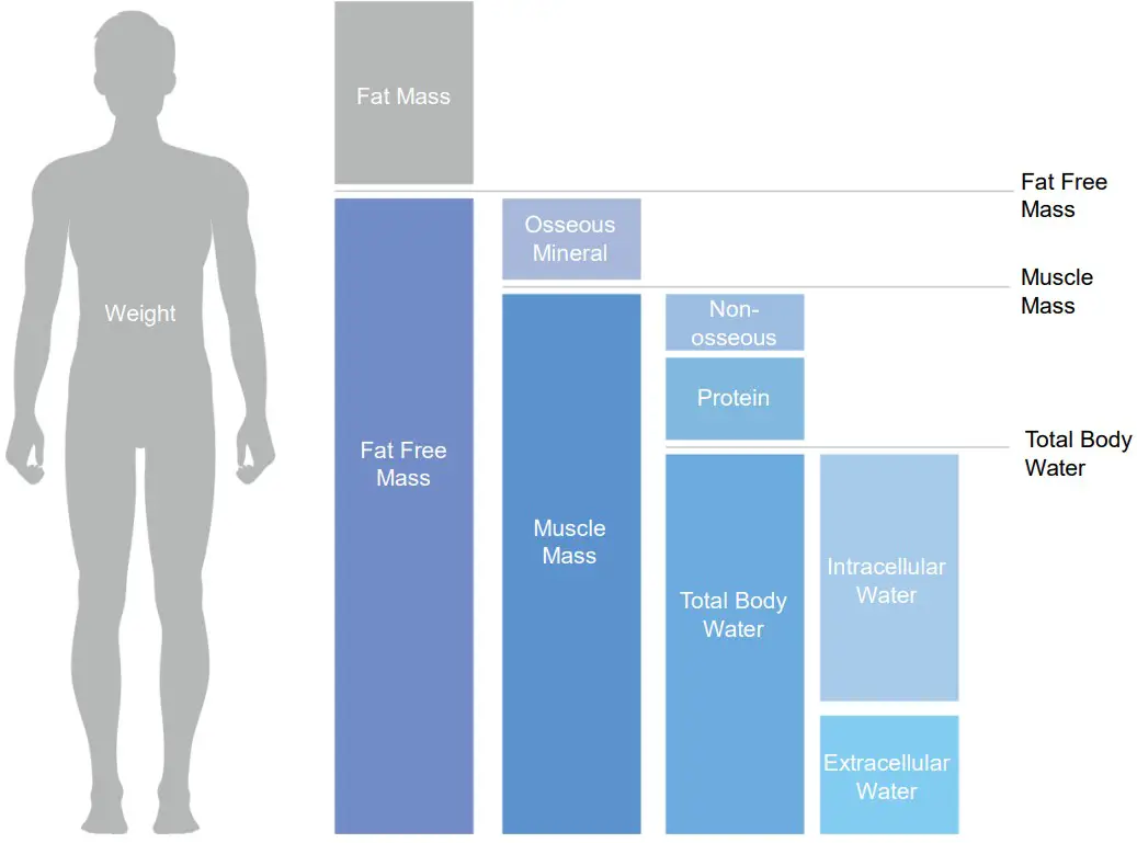 MEDIANA i55 Premium Body Composition Analyzer - Figure 57