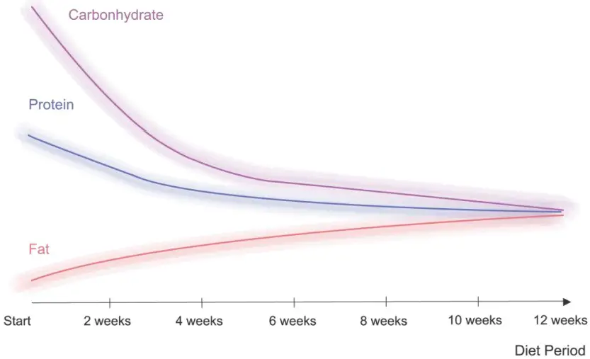 MEDIANA i55 Premium Body Composition Analyzer - Figure 59