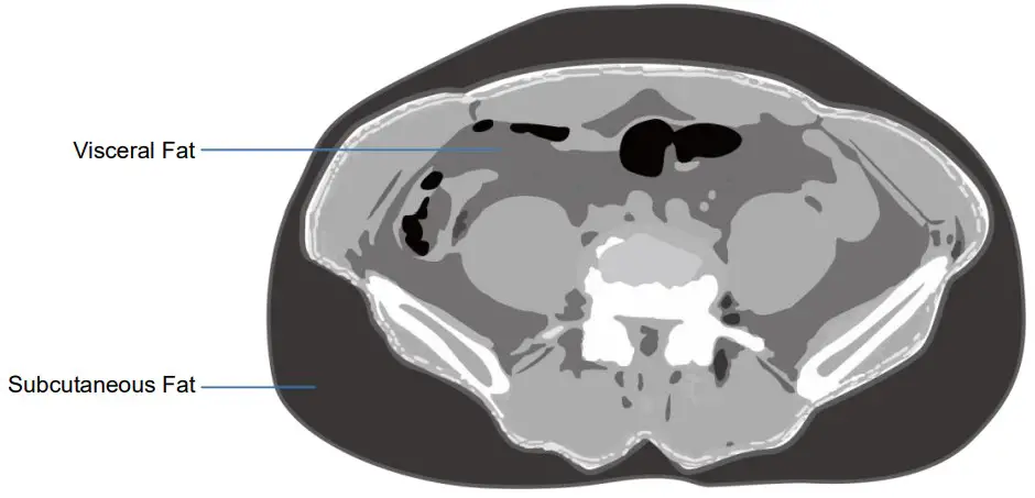 MEDIANA i55 Premium Body Composition Analyzer - Figure 61