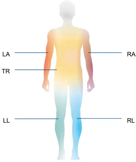 MEDIANA i55 Premium Body Composition Analyzer - Figure 62