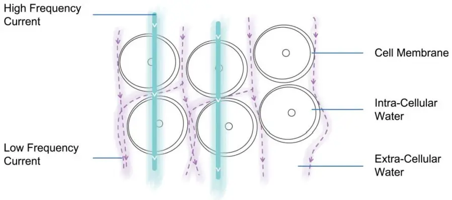 MEDIANA i55 Premium Body Composition Analyzer - Figure 63