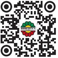 ROBERTA-S-GARDENS-M90453-6-Piece-Sweet-Series-Hardy-Gerber-Daisy-Plants-FIG 1