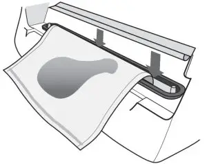 Vacuum Seal with FoodSaver