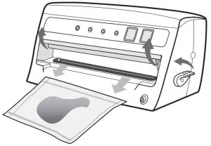 Vacuum Seal with FoodSaver