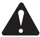 Warning Icon