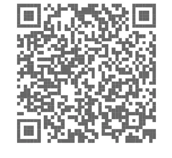 Shenzhen-Dianzhui-Culture-Technology-DZ03-Visual-Blackhead-Vacuum-Device-FIG-4