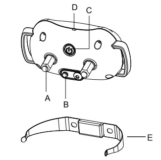 PATPET Dog Training Collar With Receeiver