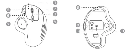 Dongguan Yuzhenrong Trading LR338 Wireless Mouse 2